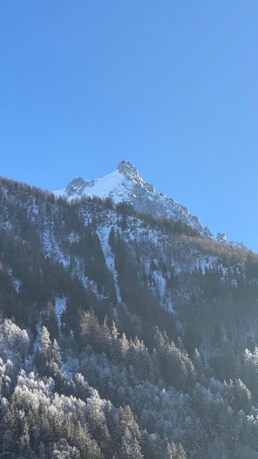 Chamois De Chamonix, Confortable 2 Pieces, Balcon, Parking Gratuit Exteriör bild